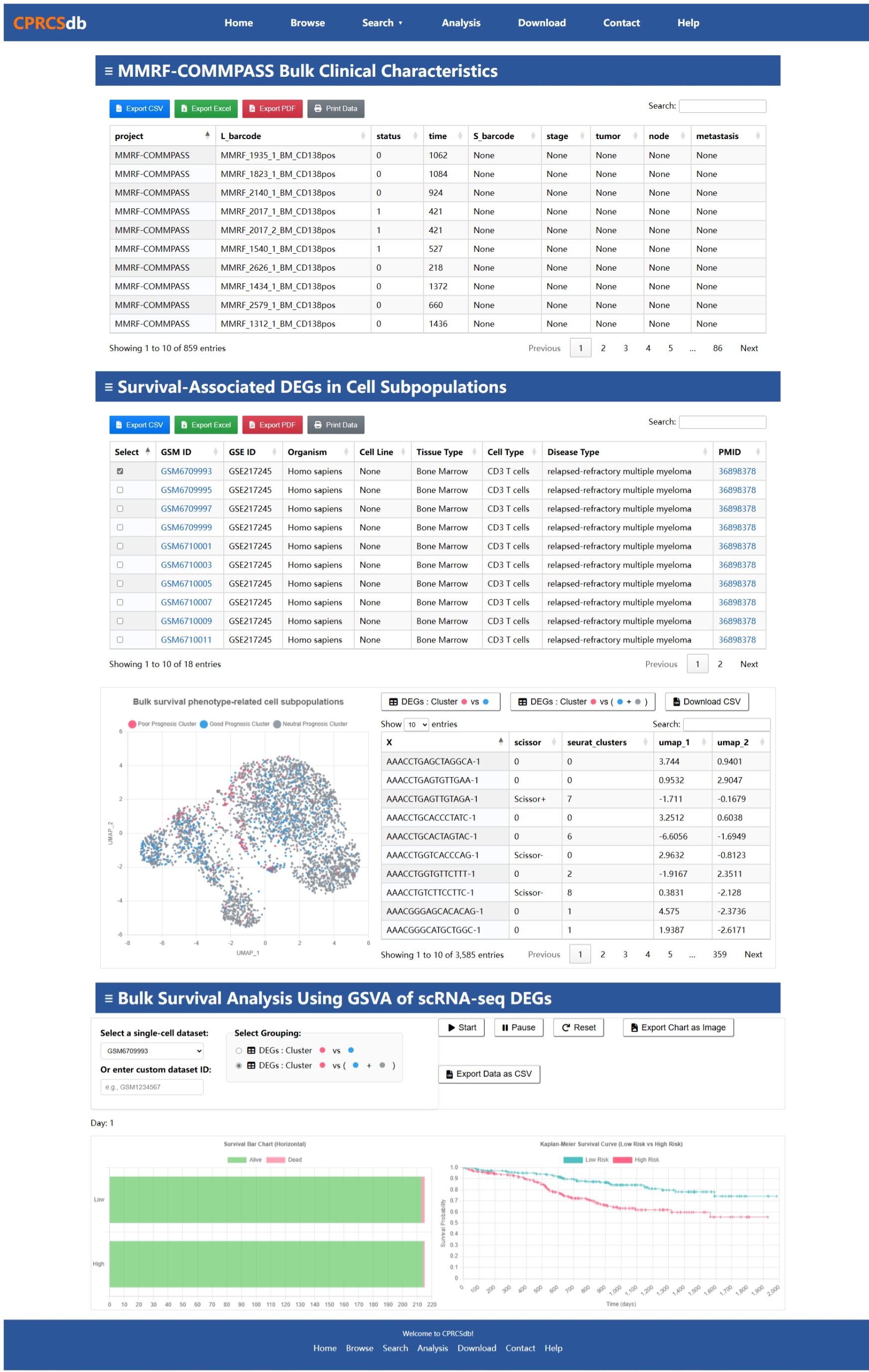 Bulk RNA-seq Project Interface Help