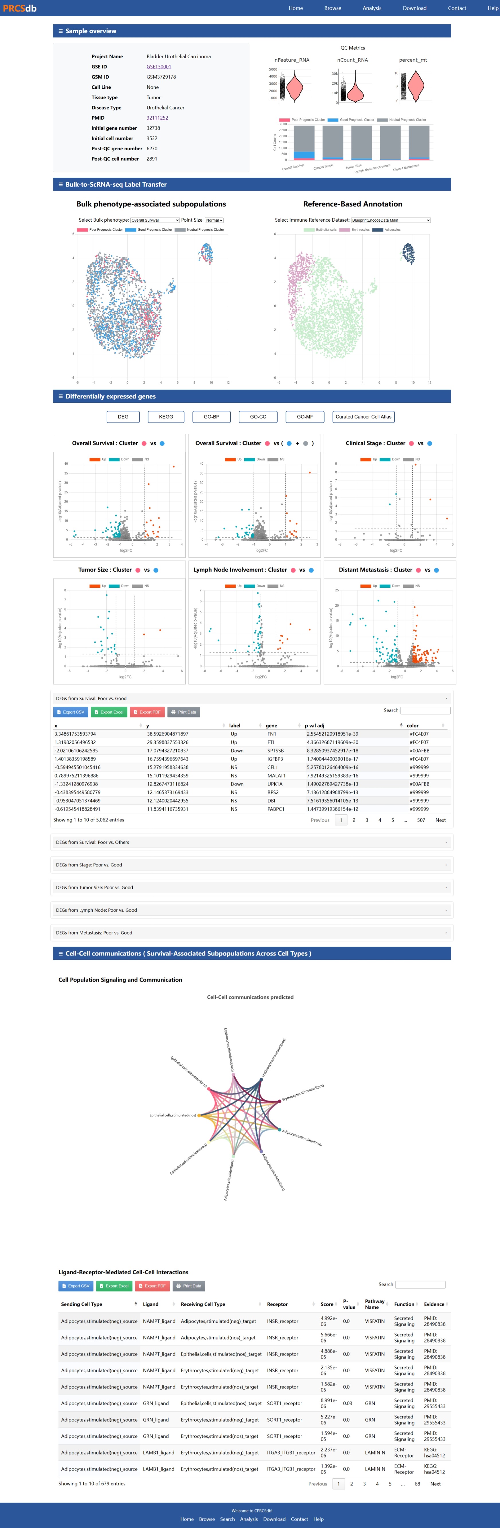 Bulk RNA-seq Project Interface Help